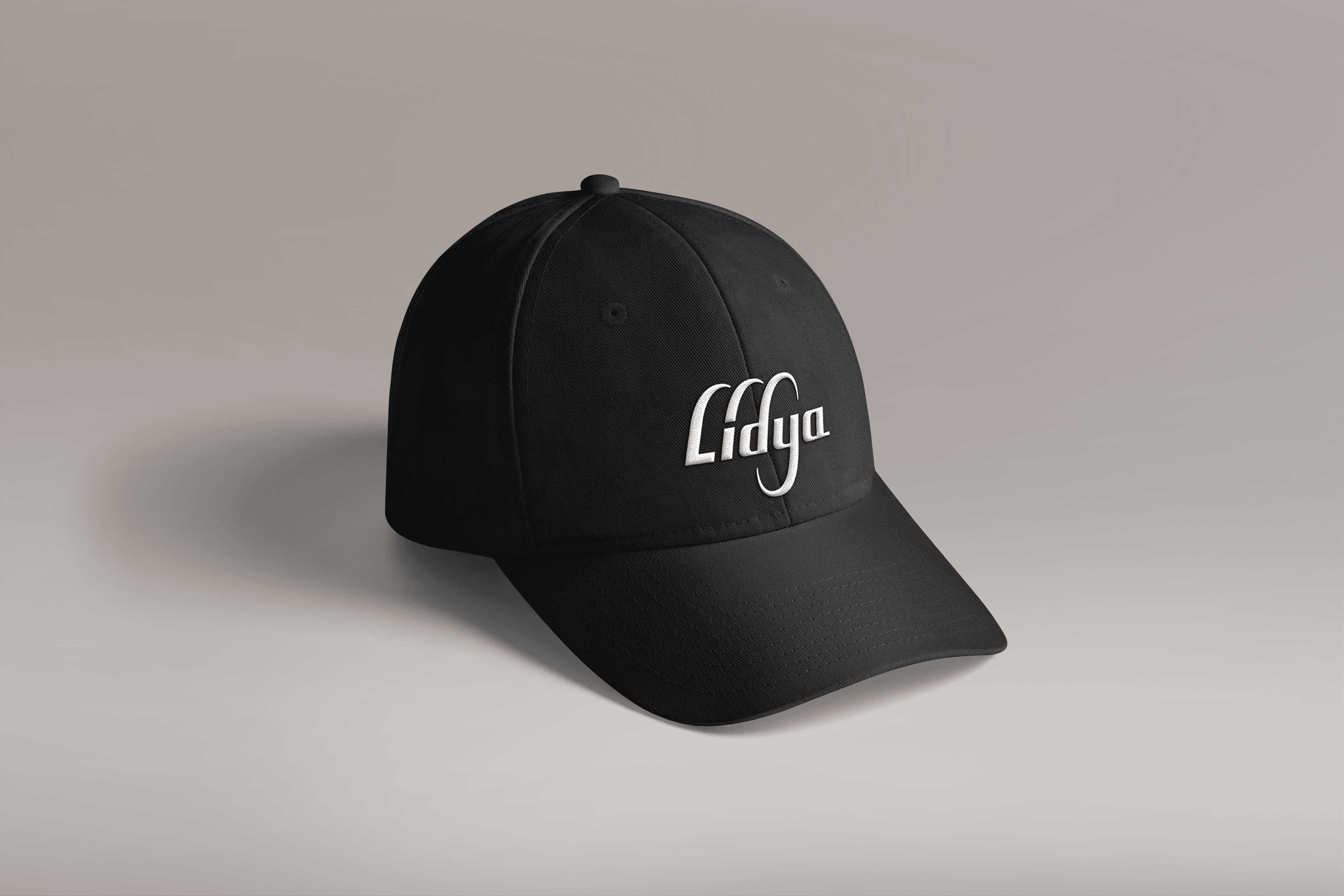 Logo design for Lidya foreign trade company