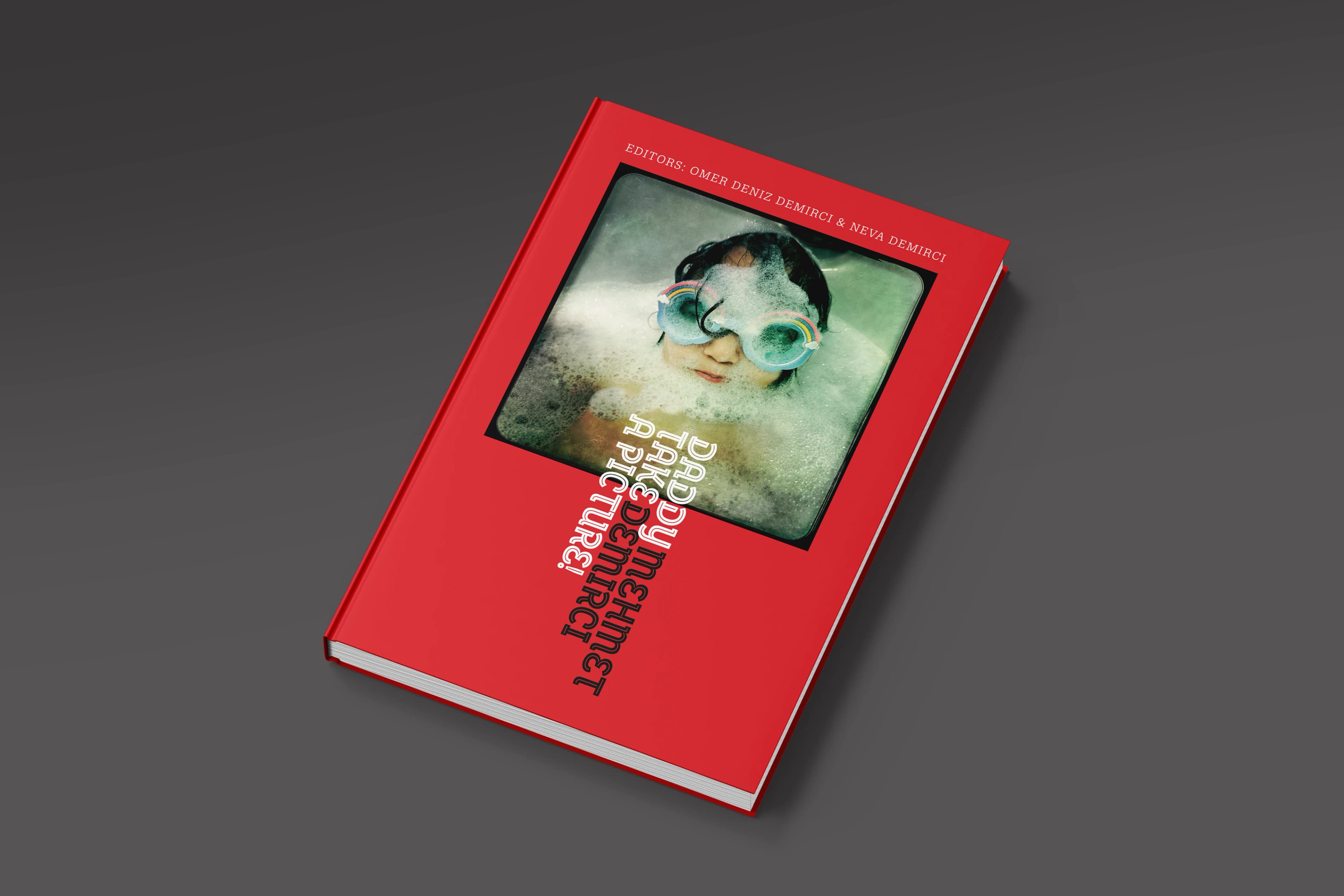 Book Design For “Daddy Take a Picture” project