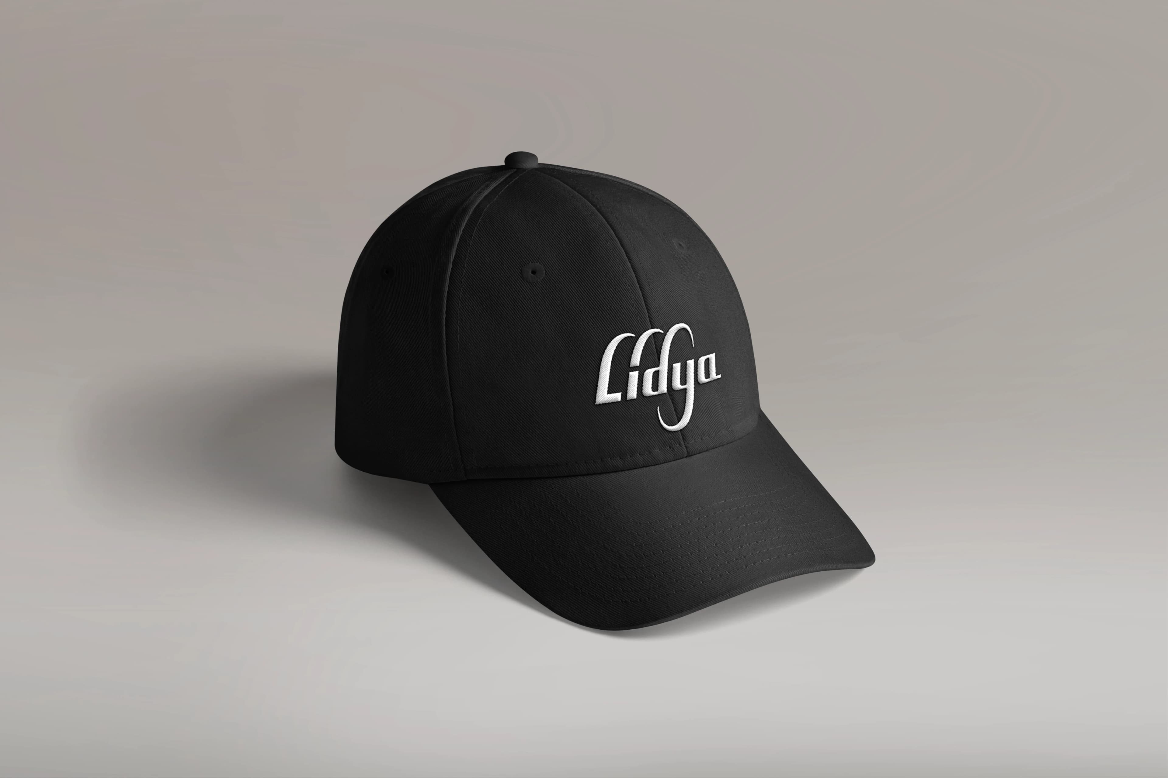 Logo design for Lidya foreign trade company